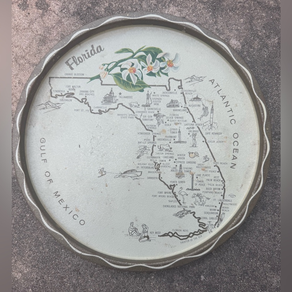 Vintage 70s Metal Decorative Plate Florida Orange Blosssom